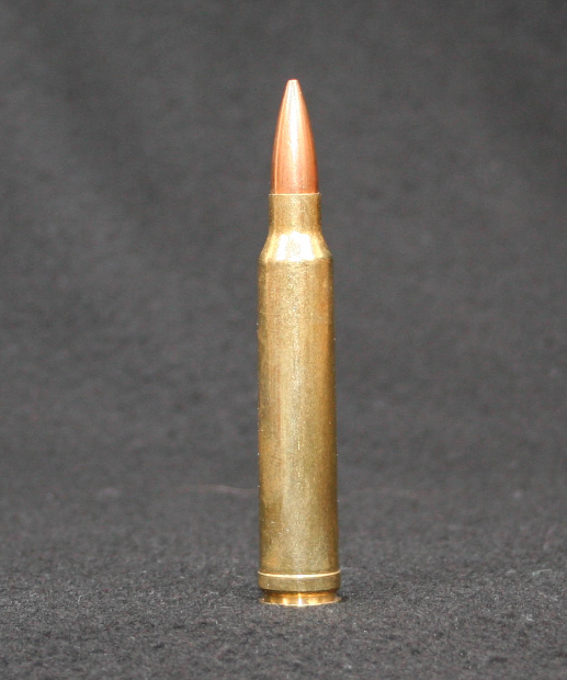 .300 Winchester Magnum