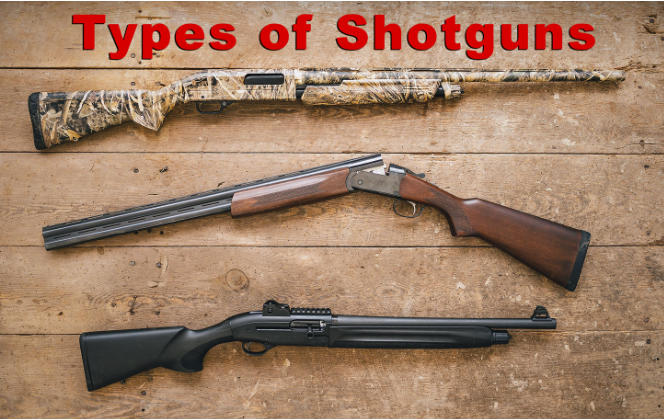 Types of Shotguns